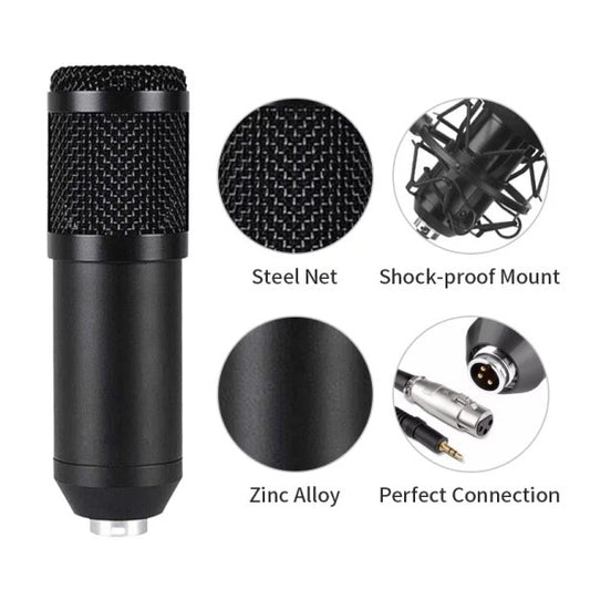 Micrófono completo con soporte