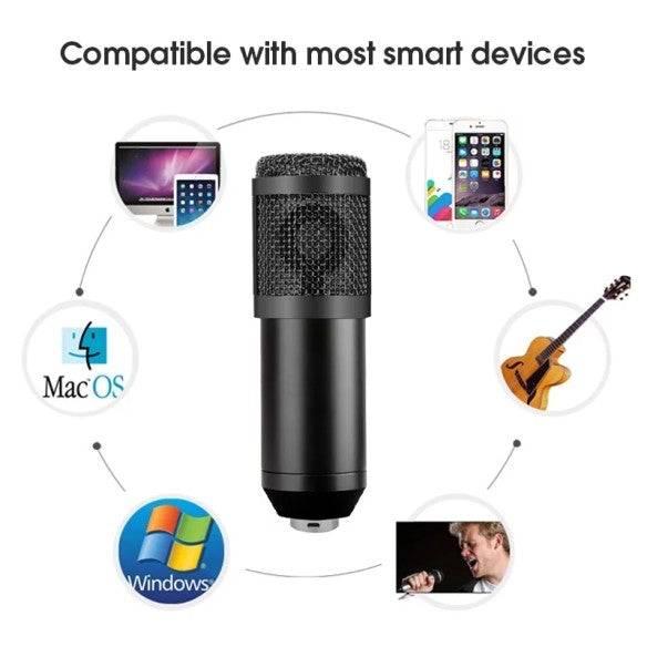 Micrófono completo con soporte